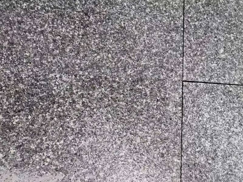 芝麻黑大花荔枝面