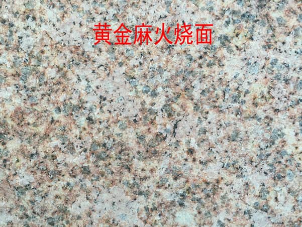 黄金麻大黄火烧面