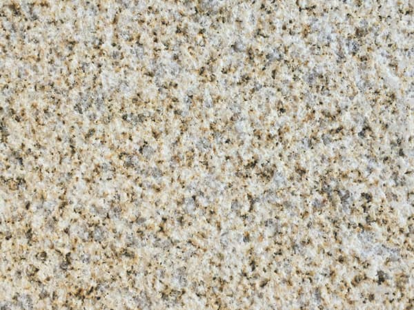 黄金麻大黄荔枝面