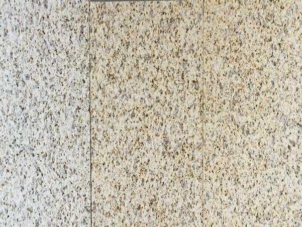 黄金麻大黄中黄浅黄荔枝面