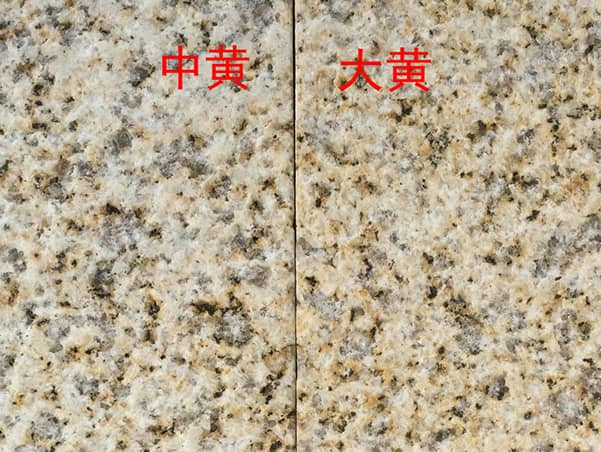 黄金麻大黄中黄浅黄荔枝面第4张高清图