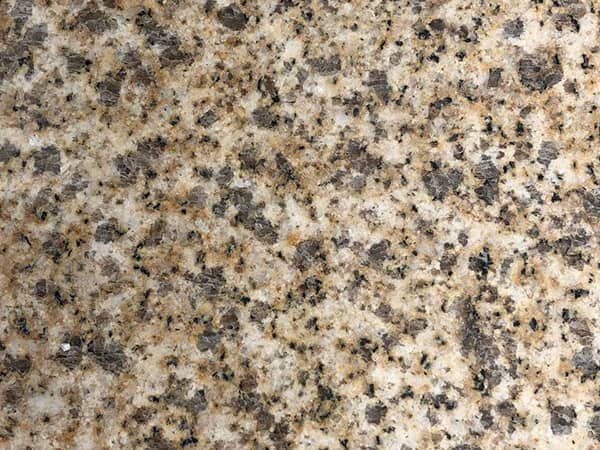 黄金麻大黄光面