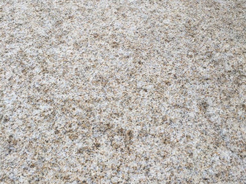 黄金钻浅黄荔枝面