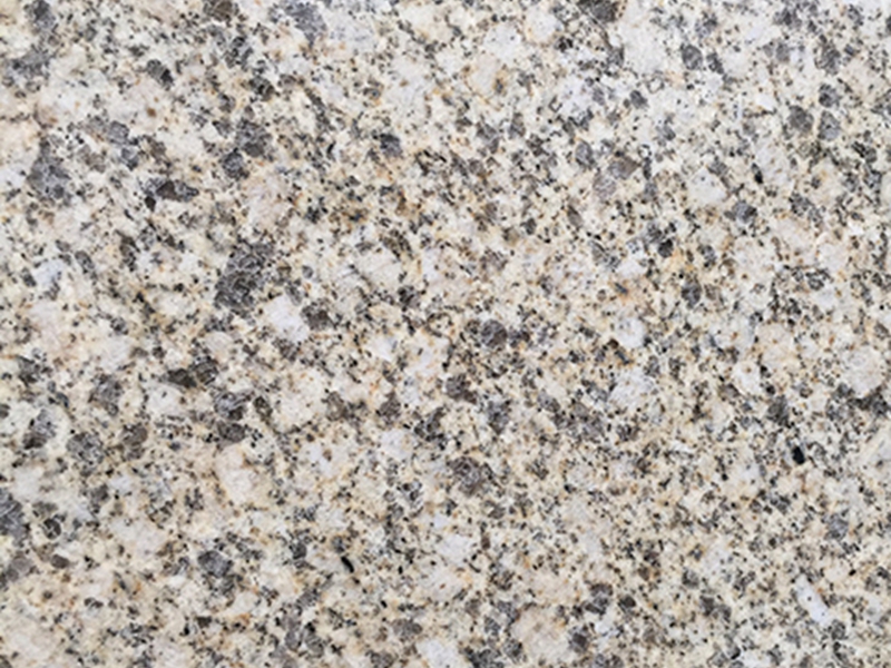 湖北紫点黄金钻