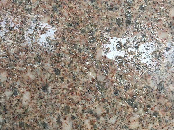 卡基诺金火烧面